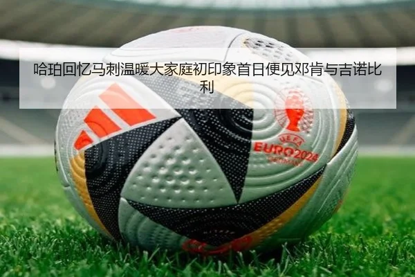 哈珀回忆马刺温暖大家庭初印象首日便见邓肯与吉诺比利